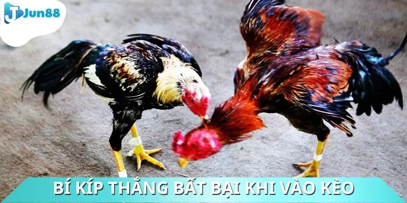 Kinh nghiệm thắng tuyệt đối khi xuống tiền